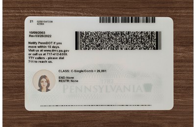 Pennsylvania (PA) Fake ID (2025 Version)